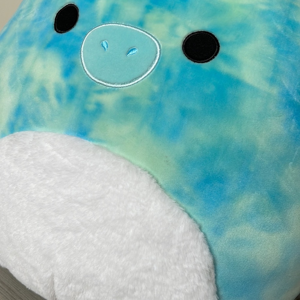 Shantira the Pteradactyl Squishmallow - Picture 3 of 7